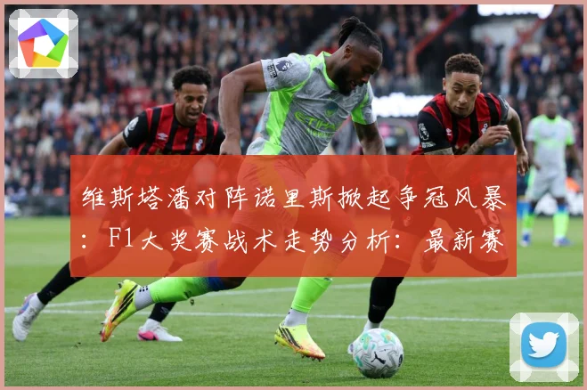 维斯塔潘对阵诺里斯掀起争冠风暴：F1大奖赛战术走势分析：最新赛事动态与深度分析